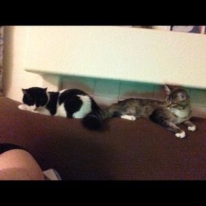 Meet your Posher, Katrina